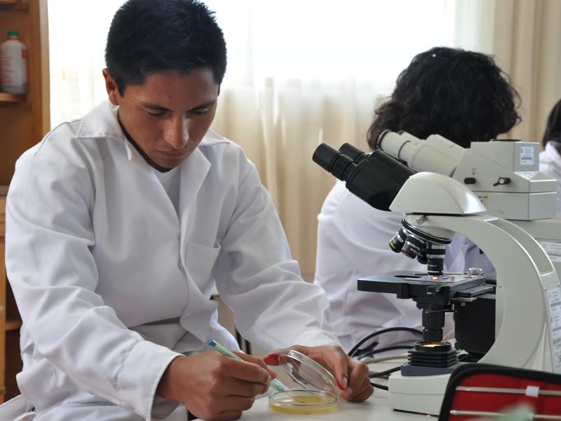Agronomía - UNCP