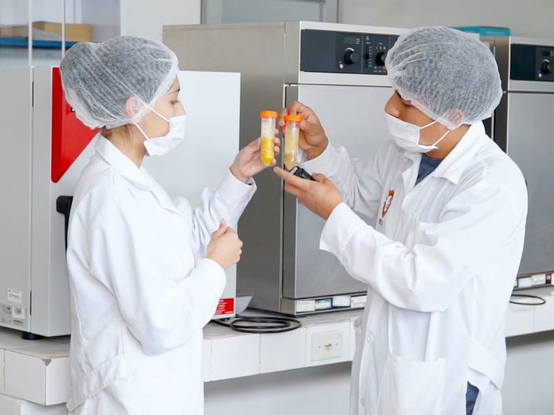 Ingeniería en Industrias Alimentarias - UNCP